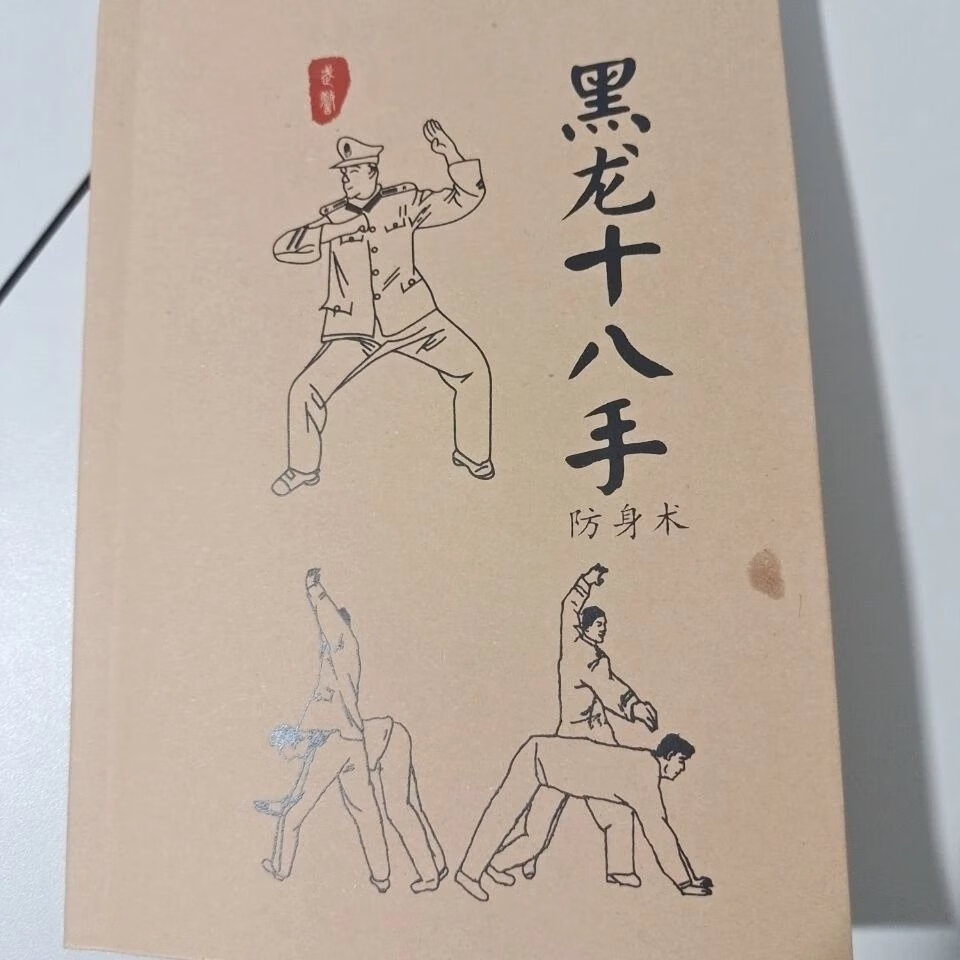 黑龙十八手擒拿术军体拳格斗术组合防身术反擒拿招式训练实战功法