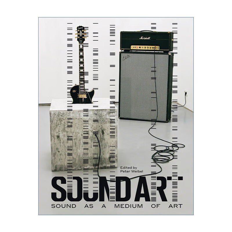 英文原版 sound art 声音艺术 声音作为艺术媒介 peter weibel 精装