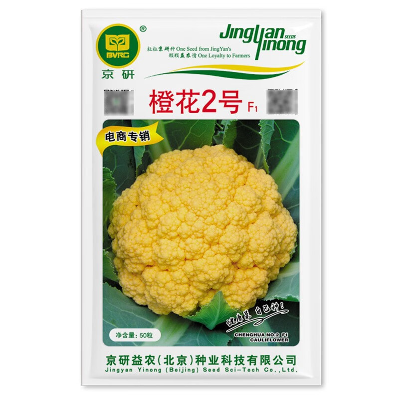 京研菜花种子橙色花椰菜籽青梗松花菜耐热春秋播农科院蔬菜秧苗种籽孑 橙花2号橙菜花50粒1袋