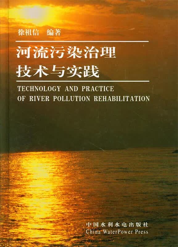 河流污染治理技术与实践 徐祖信 著【正版书】