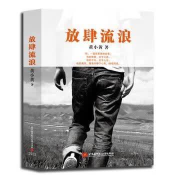 正版书籍 放肆流浪 黄小黄著 北京航空航天大学出版社