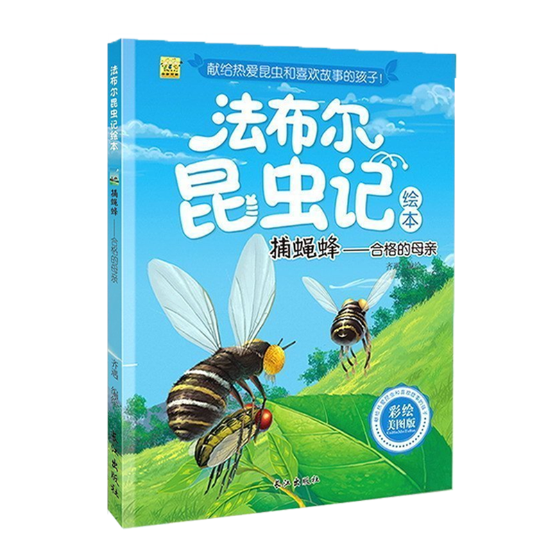 法布尔昆虫记 捕蝇蜂-合格的母 彩绘美图版儿童科普百科绘本 3-6-9-12