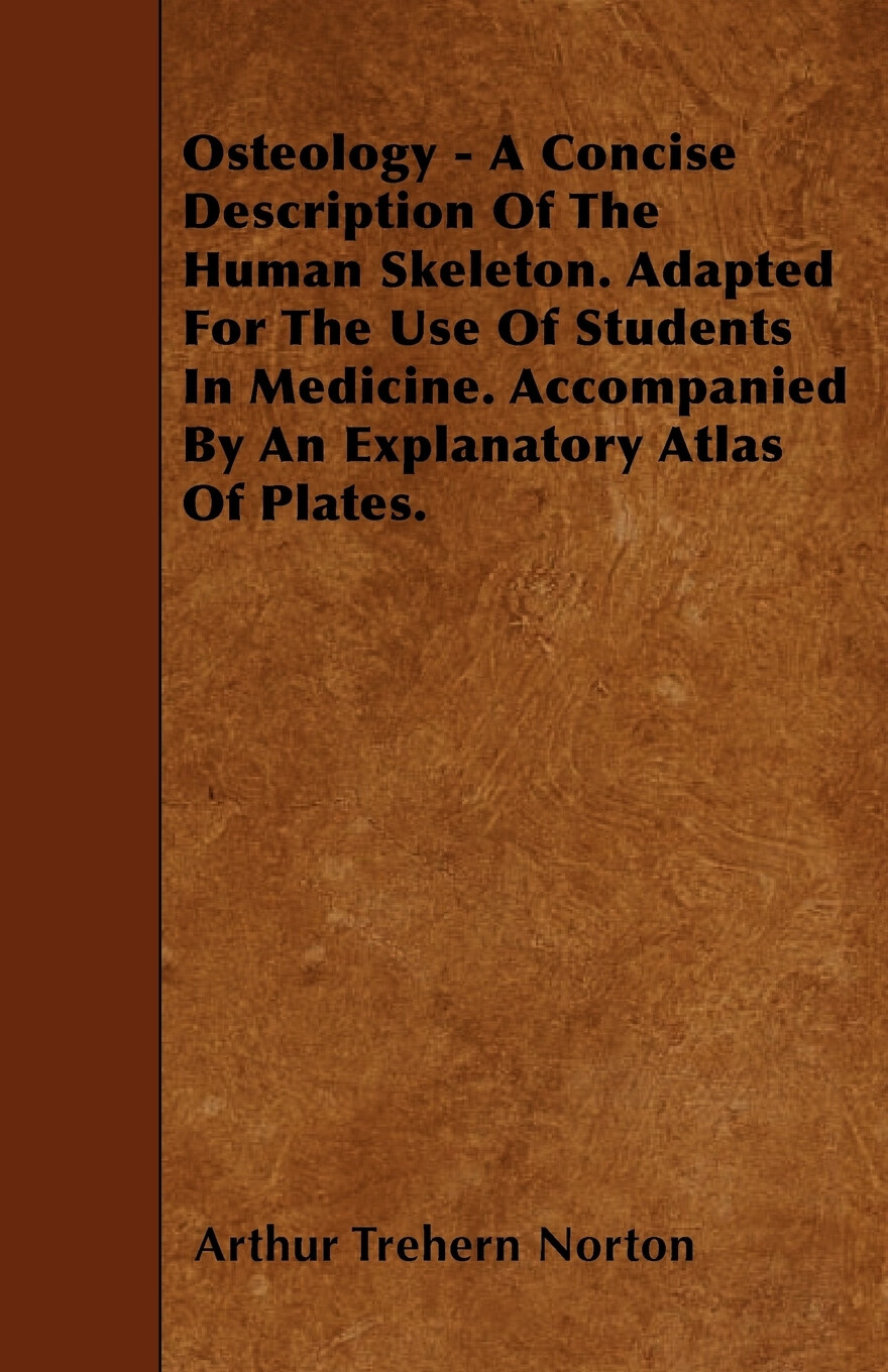 a concise description of the human skeleton
