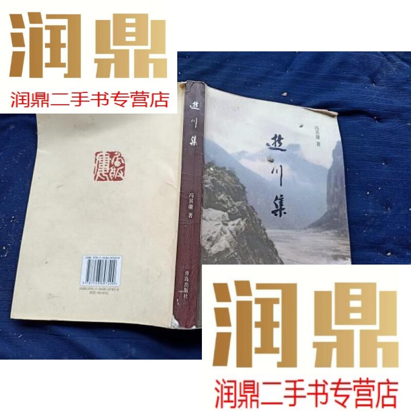 【二手九成新】逝川集