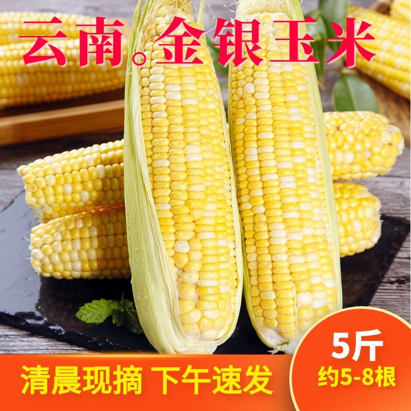 京东新品首发 2023-05-23 - 第29张  | 最新购物优惠券