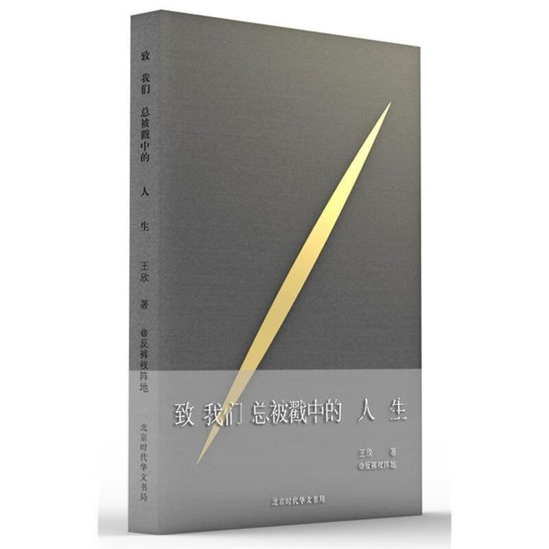 致我们总被戳中的人生 王欣【书】