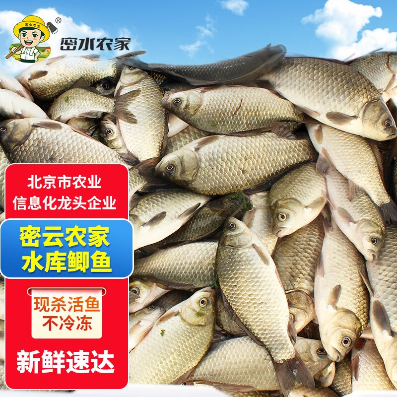 京东鱼类价格走势图哪里看|鱼类价格比较