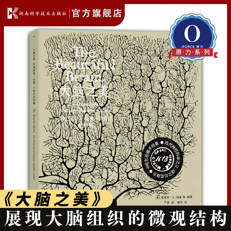 大脑之美：圣地亚哥·拉蒙-卡哈尔绘图集 神经科学 卡哈尔 手绘图 艺术 大脑 脑科学 微观