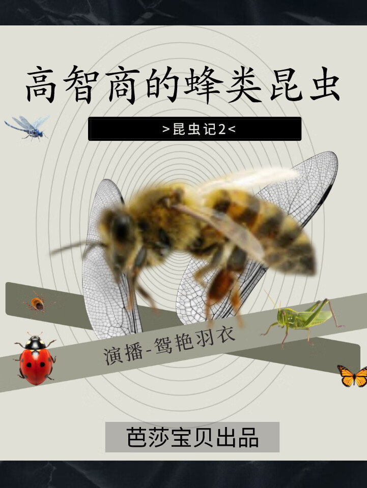 昆虫记2 高智商的蜂类昆虫