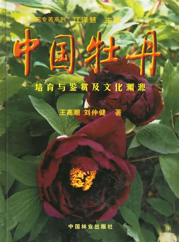 中国牡丹:培育与鉴赏及文化渊源