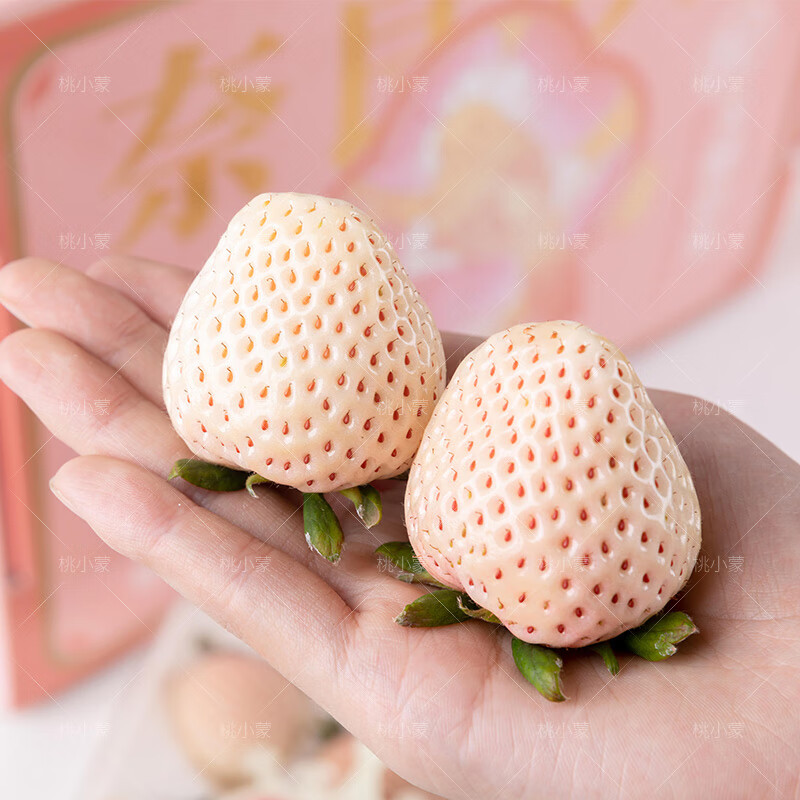 桃小蒙淡雪白草莓梦之莹天使白色草莓 新鲜现摘水果新包装礼盒颜色随