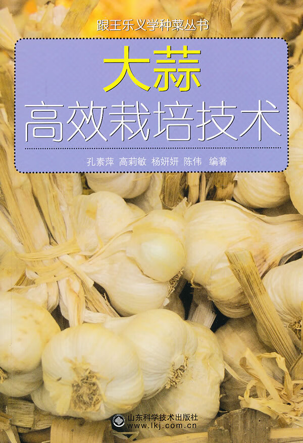 大蒜高效栽培技术
