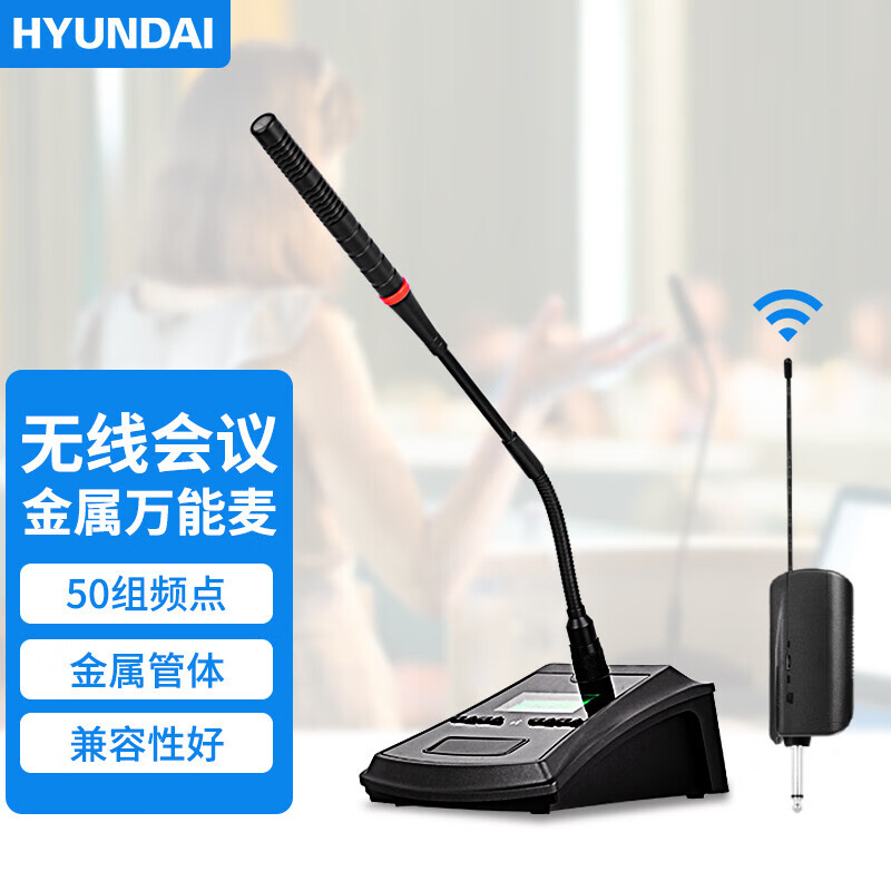 HYUNDAI现代 MS-3001专业无线麦克风 话筒家庭ktv手持U段会议室户外舞台演出娱乐一拖一