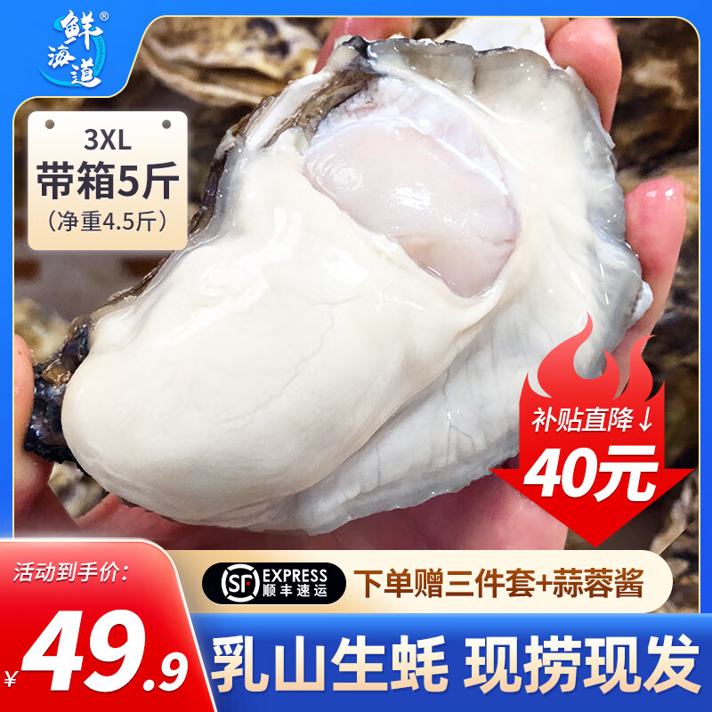 鲜海道【活鲜】鲜海道生蚝  乳山牡蛎 新鲜海蛎子生鲜贝类 超大号3XL5斤送酱（10-15只）