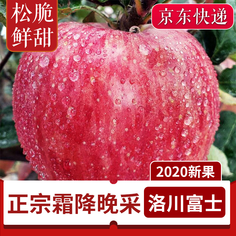 陕西洛川红富士苹果5.5-9斤净重带皮吃条红脆甜礼盒 85果径口粮净重9斤