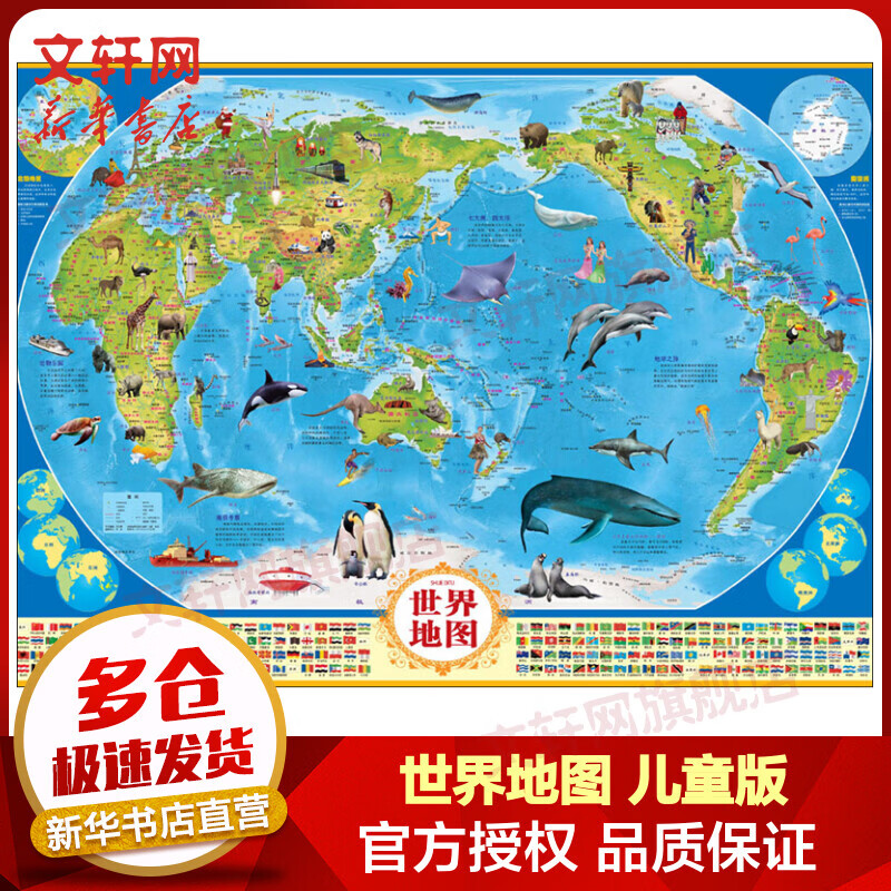 世界地图 儿童版