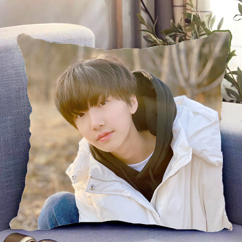 智宙姚昱辰双面抱枕tf家族三代周边靠枕靠垫生日礼物diy定制枕头pp棉