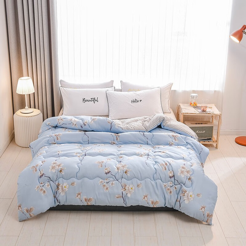 享大数据营销 - 蚂蚁星球(原好京客) - 2020新款植物棉秋冬季被子被芯