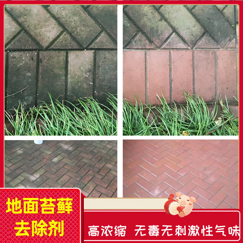 美骏 除青苔水泥地面苔藓去除剂墙面水池水藻除苔剂清除液