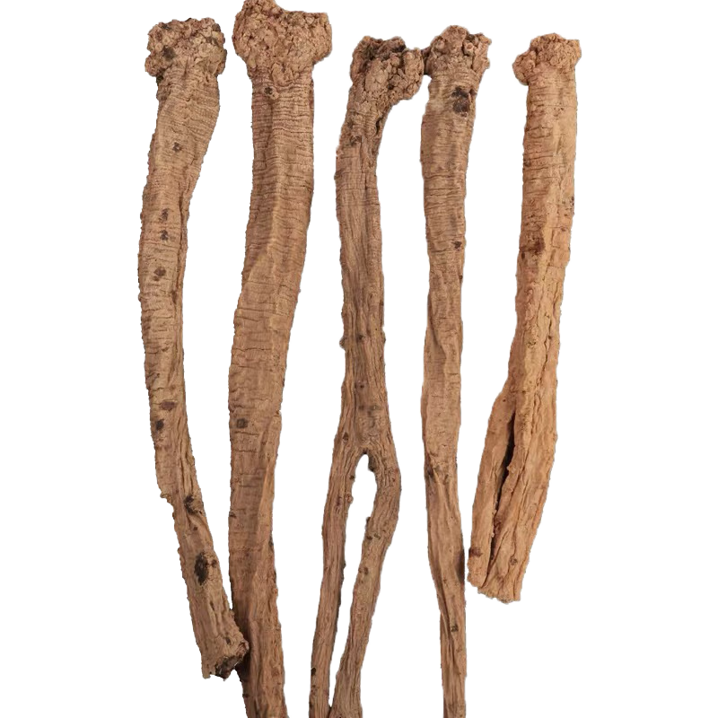 ���ڲ�����¤���� 10��Ұ������250�� �ؼ��ɻ��Ƶ����������ڸ�����ҩ��������ˮ 94.16Ԫ