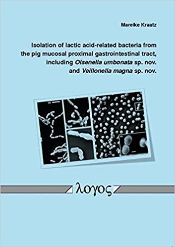 预订isolation of lactic acid-related bacteria from t
