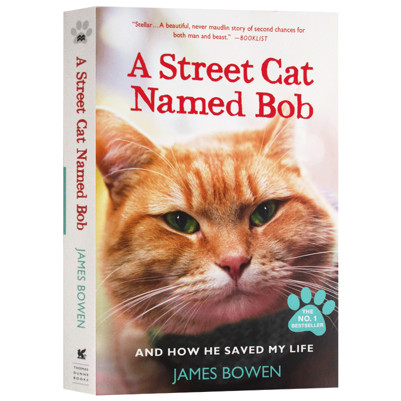 英文原版小说 a street cat named bob 平装版 流浪猫鲍勃 同名电影