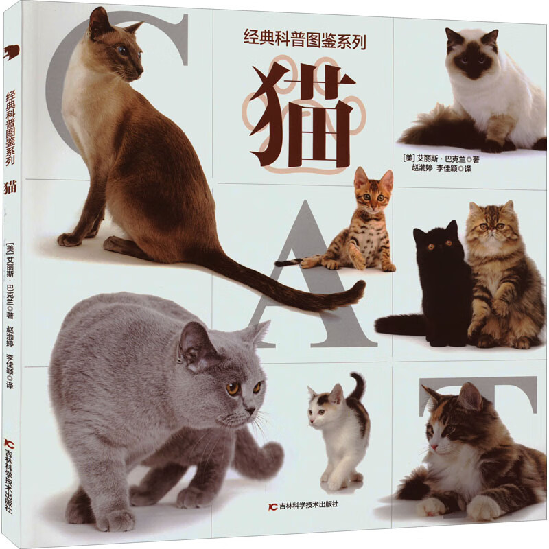 猫 幼儿图书 早教书 故事书 儿童书籍 图书