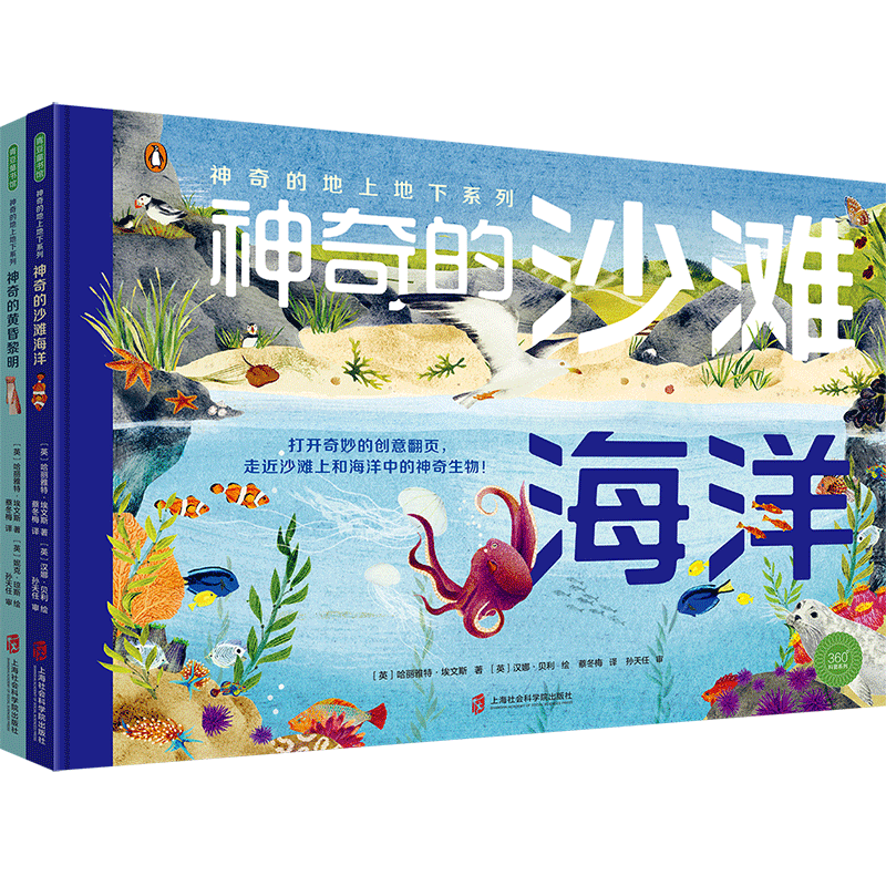 神奇的地上地下系列（神奇的沙滩海洋+神奇的黄昏黎明）创意翻页，自然科普自然观察美景图画科普启蒙