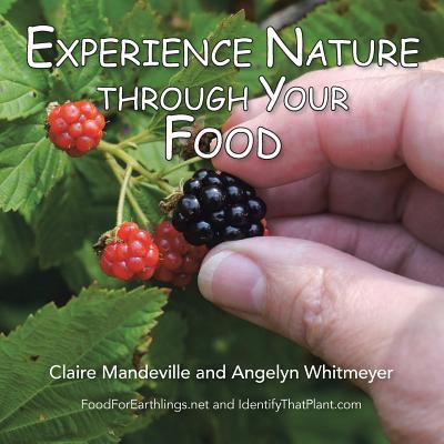 预订Experience Nature Through Your Food: Foodforeart