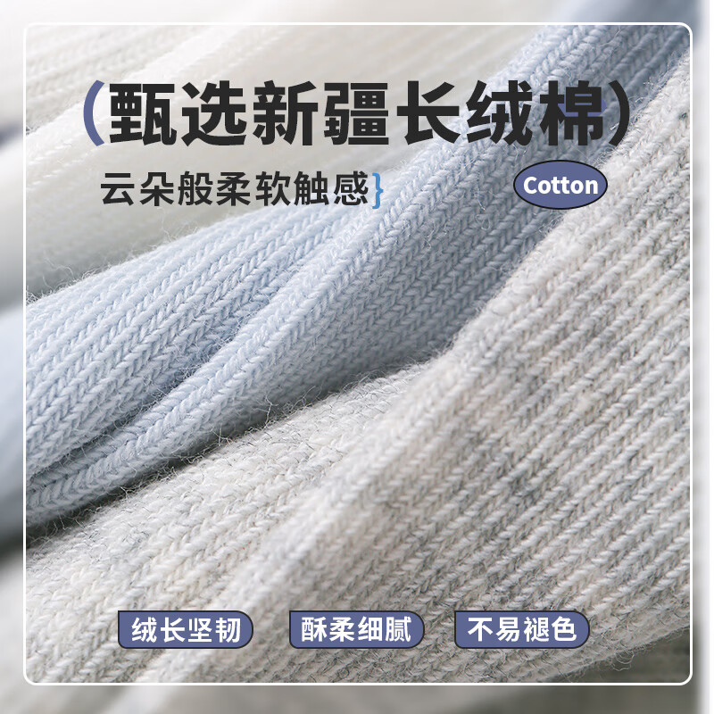 六指鼠儿童袜子男童男宝宝春秋款网眼中筒精梳棉男孩中大童学生夏季薄款 89W薄棉（海底总动员） 5双 均码  建议7-8周岁(袜标9-12岁)