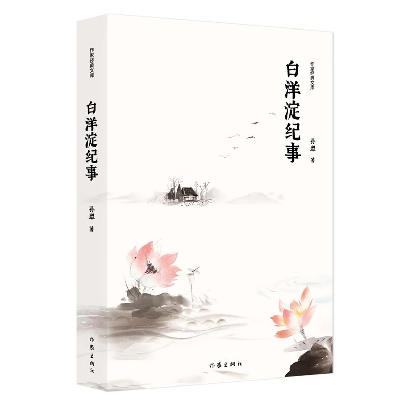 白洋淀纪事