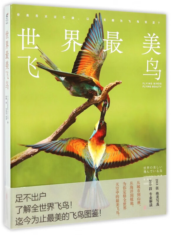 世界最美飞鸟