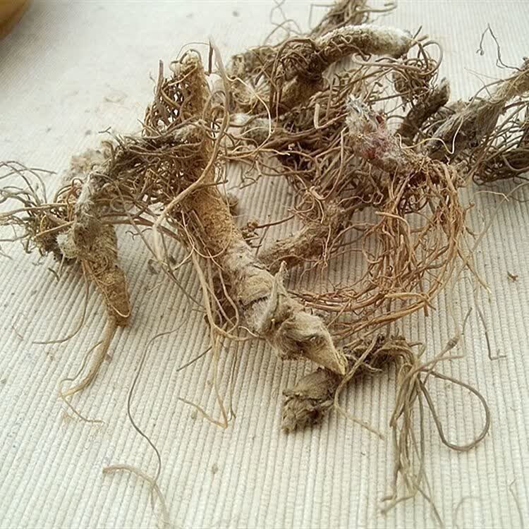 东居堂新货地胆头干货新鲜晒干矮脚地胆头草根煲汤料凉茶 精选野生地胆头带泥 250g