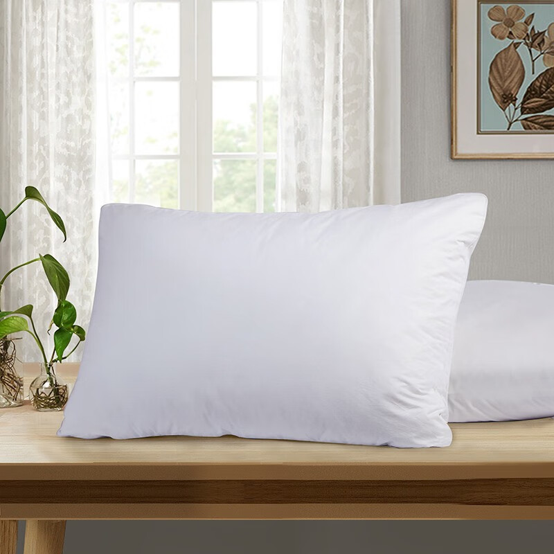 富安娜(FUANNA)床上用品家用成人枕芯双人对枕酒店枕头 健康1+1枕