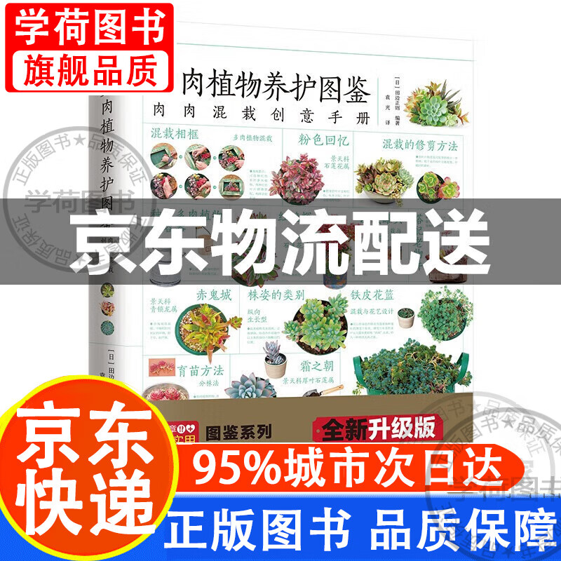 正版 多肉植物养护图鉴 30余种多肉混栽创意方案,70余种多肉植物介绍