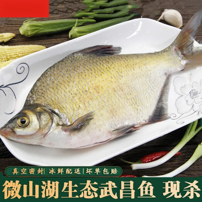杀新鲜鳊鱼即食真空武汉扁鱼 真空冰鲜包装 武昌鱼一斤【每斤1-2条】