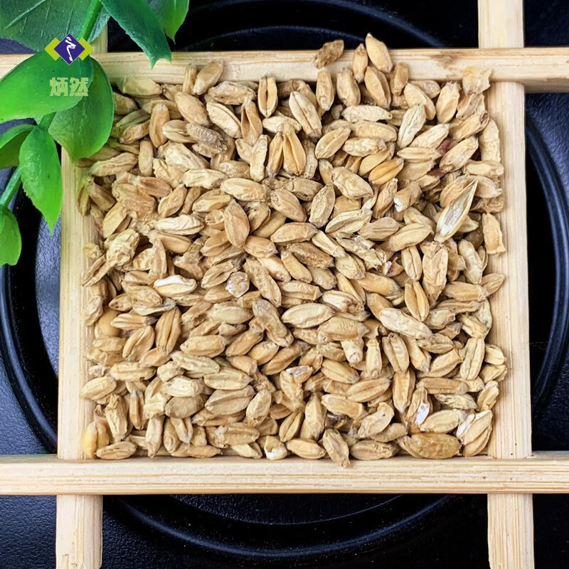 炳然浮小麦500克浮水麦浮麦瘪小麦非嘢生止中药材汗另有甘草大枣茶