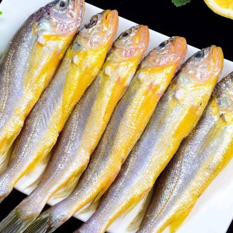 黄鱼鲜活冷冻黄花鱼包冰海鲜水产 水果蔬菜 5斤装(10-12条一斤)鲜活