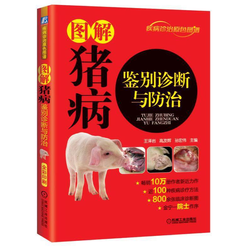图解猪病鉴别诊断与防治猪病 养猪技术大全书籍 猪常见病诊治技术与