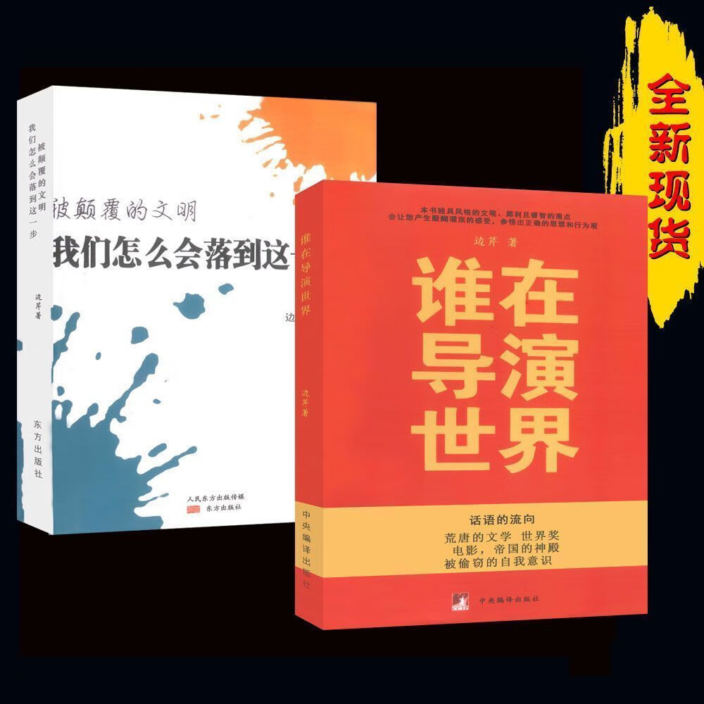 谁在导演世界 被颠覆的文明 边芹 著 两