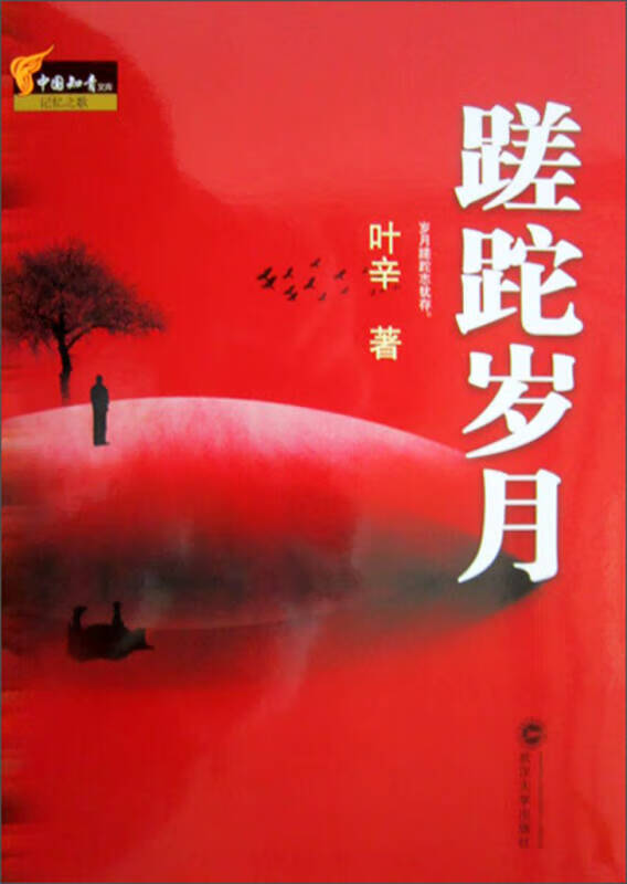 蹉跎岁月9787307117938【好书】