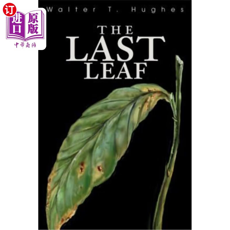 海外直订the last leaf 最后一片叶子