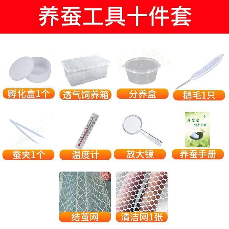 工具套装 蚕宝宝套装饲养盒蚕卵孵化盒新鲜桑叶保鲜盒 养蚕工具十件套