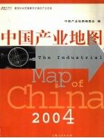 中国产业地图2004