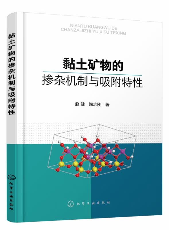 黏土矿物的掺杂机制与吸附特性