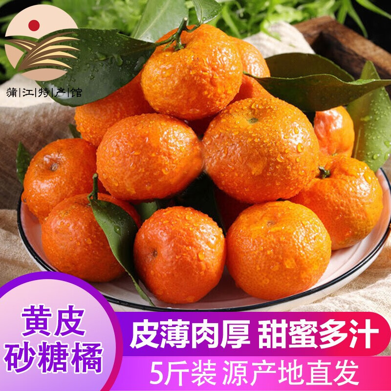 【蒲江馆】柑橘水果橘子甜桔子 精品黄皮砂糖橘4.5-5斤装 新鲜水果 源产地直发