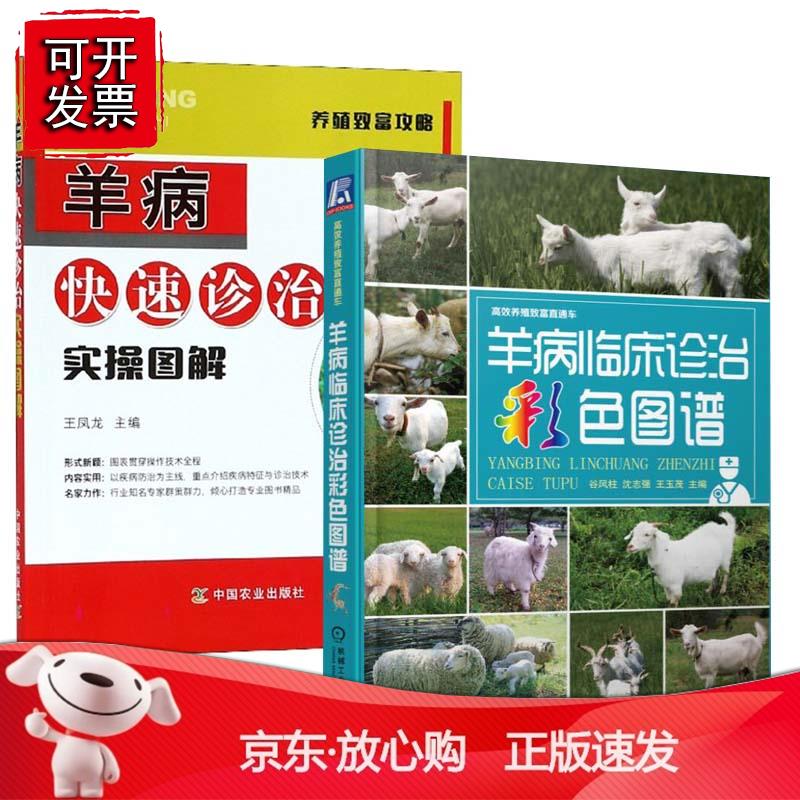 【全2册】羊病临床诊治彩色图谱+羊病快速诊治实操图解实用羊病防治新技术手册 养羊技术大全书籍肉羊小尾