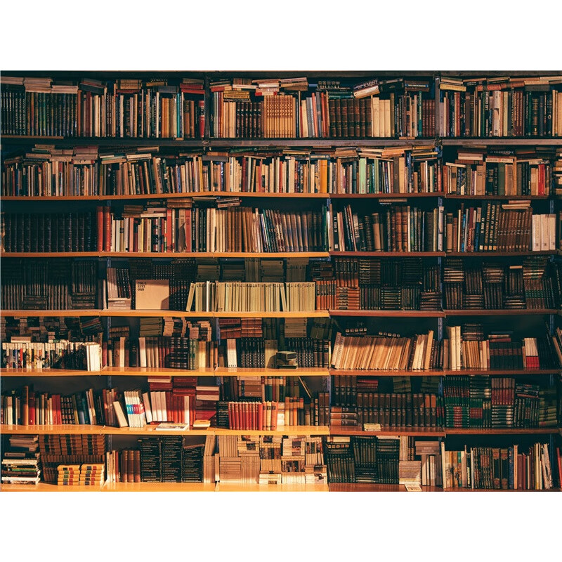 dream karin直播背景布主播3d书房书柜网红立体办公室快手抖音逼真