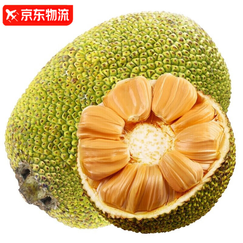 菠萝蜜价格历史查询|菠萝蜜价格走势图