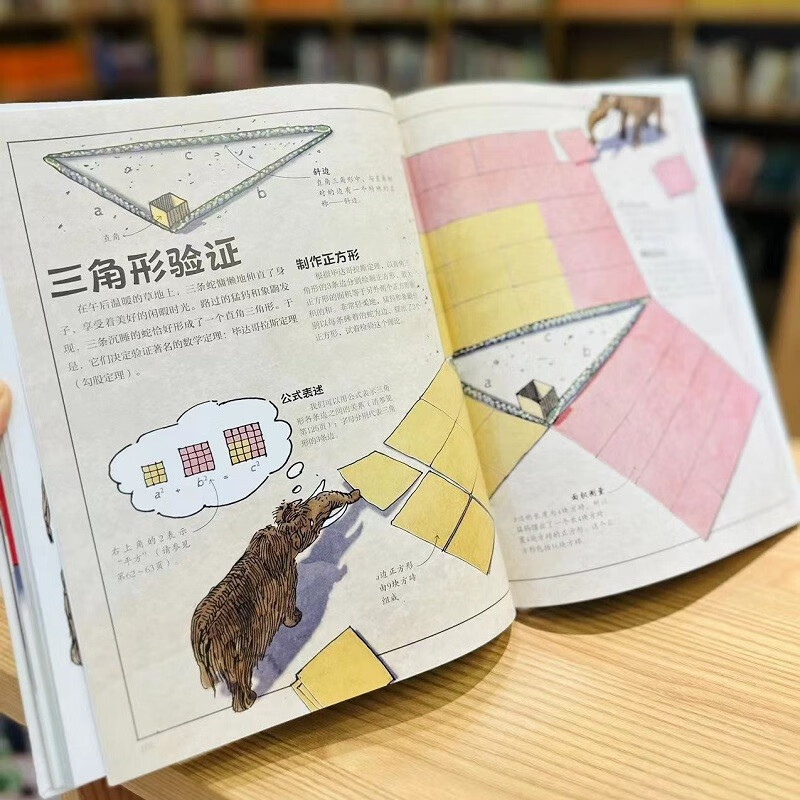 DK数学运转的秘密详情图